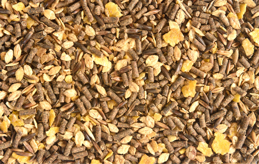 Ingredients that go into livestock feed